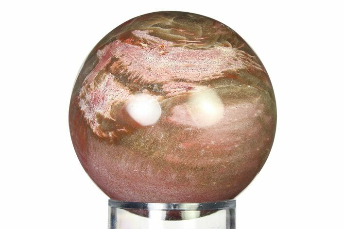 Colorful Petrified Wood (Araucaria) Sphere - Madagascar #317319
